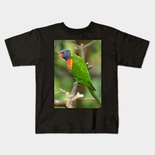 A Lorikeet in Singapore Kids T-Shirt